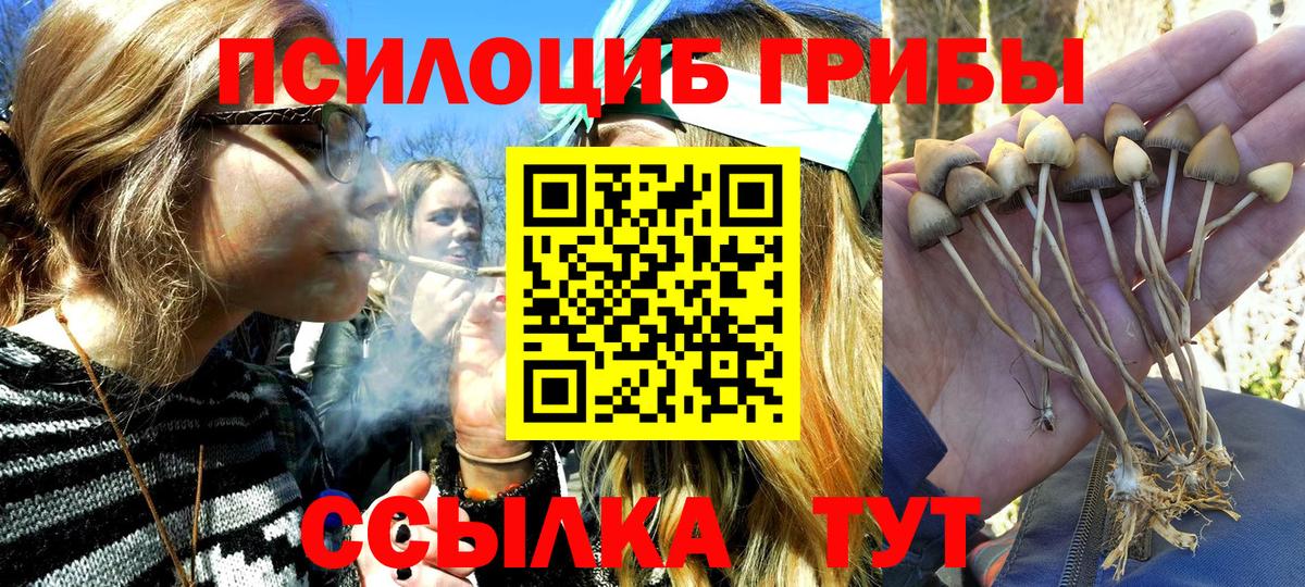 Галлюциногенные грибы прущие грибы  Вход с VPN  Новоалтайск 