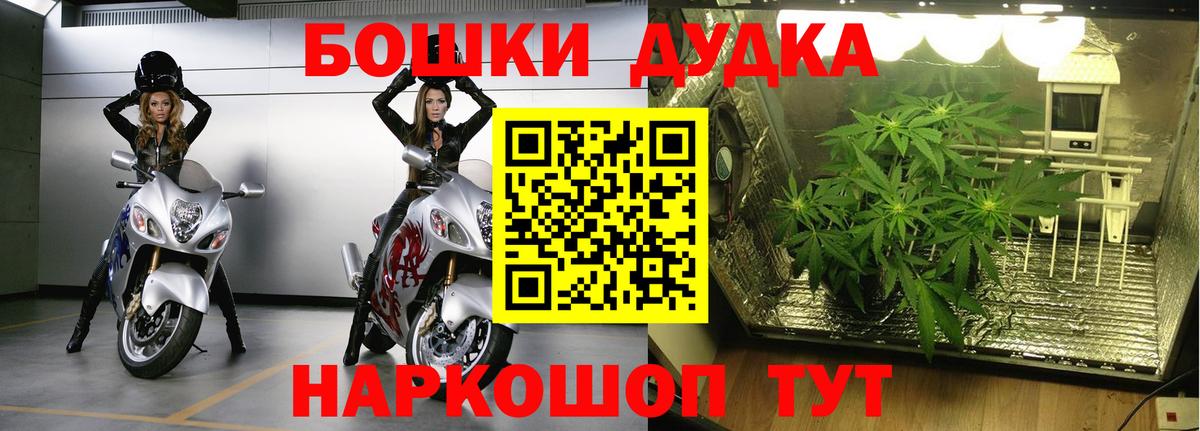 Бошки Шишки White Widow Новоалтайск